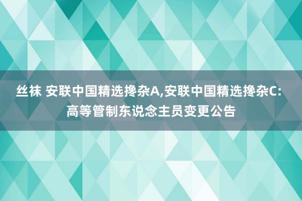 丝袜 安联中国精选搀杂A,安联中国精选搀杂C: 高等管制东说念主员变更公告