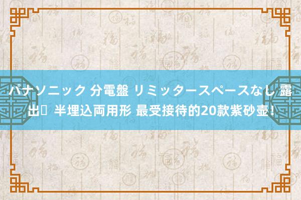 パナソニック 分電盤 リミッタースペースなし 露出・半埋込両用形 最受接待的20款紫砂壶！