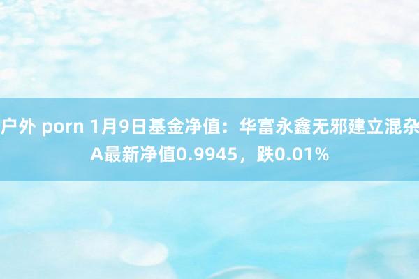 户外 porn 1月9日基金净值：华富永鑫无邪建立混杂A最新净值0.9945，跌0.01%