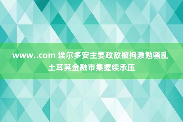 www..com 埃尔多安主要政敌被拘激勉骚乱 土耳其金融市集握续承压