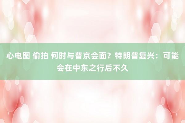 心电图 偷拍 何时与普京会面？特朗普复兴：可能会在中东之行后不久